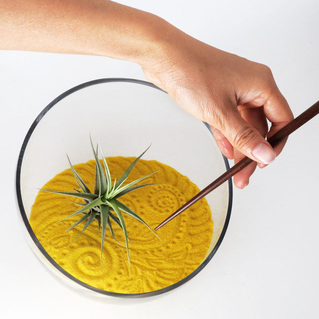 Air Plant Zen Garden Desk Plant from Gardens of Wendiland